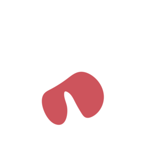 445fa040-placeholder-1770026719