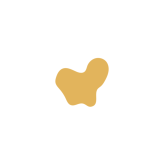 10fbe18a-placeholder-1770051079