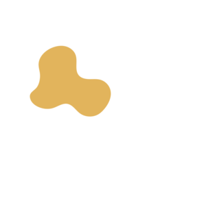 4b49091c-placeholder-1770012494