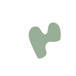 6d67225b-placeholder-1770008508