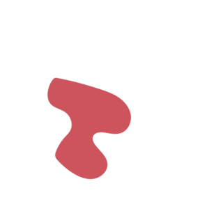 91c30519-placeholder-1770051896