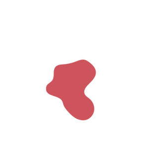 20a9eea9-placeholder-1770027170