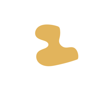 Ce22af84-placeholder-1770008725