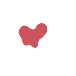 734d45d2-placeholder-1770014806