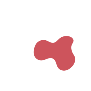 D7748c90-placeholder-1770011584