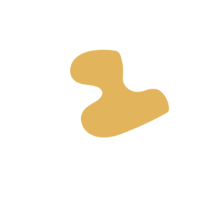 4adc2d13-placeholder-1769998333