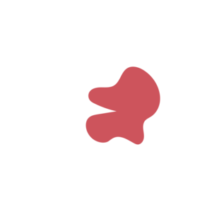 8ffaa486-placeholder-1770010478