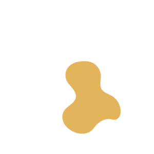 24227051-placeholder-1770015228