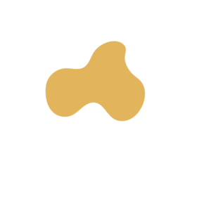 92fac5ec-placeholder-1770018597