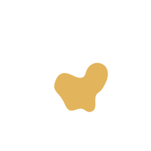 B210d378-placeholder-1770009348