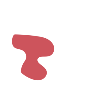 D5638083-placeholder-1770009780