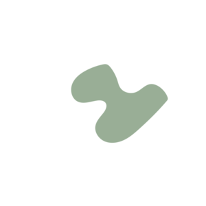 1b4f2f6f-placeholder-1770014991