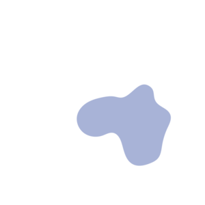 B376eafd-placeholder-1770020900