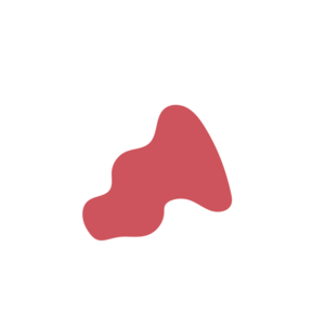 24c5819e-placeholder-1770021519