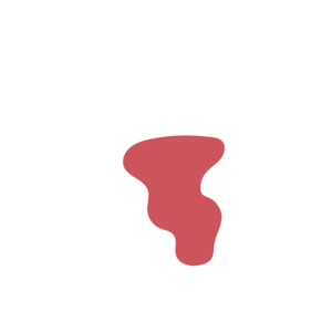 Ba08e773-placeholder-1770005962