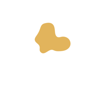 D7eb3487-placeholder-1770051772