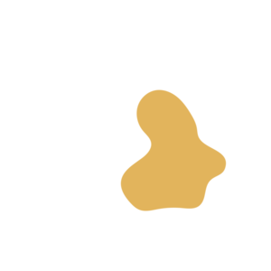 72aedcd5-placeholder-1770032242