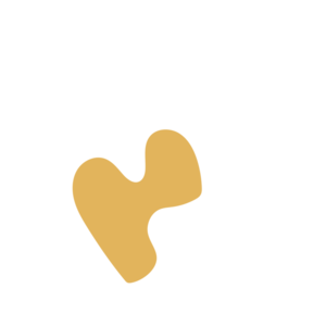 8292c2c5-placeholder-1770029097