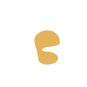 Ec3afa91-placeholder-1770009212