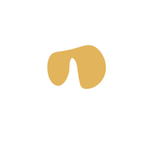 7b7d181f-placeholder-1770046557