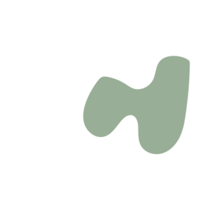 70576426-placeholder-1770015706