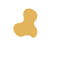 036e7aeb-placeholder-1770015556