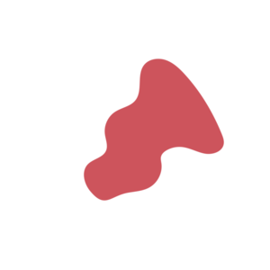 6295f81a-placeholder-1770053410