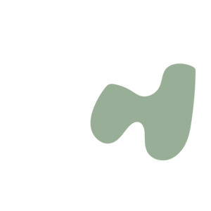 1727b1d2-placeholder-1770007271