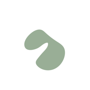 1fcf4e6a-placeholder-1770005691