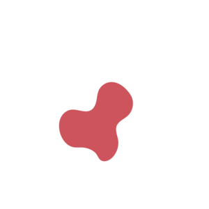 Af7e7485-placeholder-1770056225