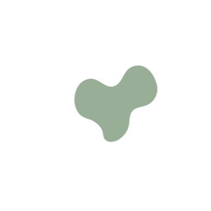 25108132-placeholder-1770021304