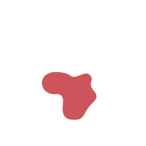 1cec1a55-placeholder-1769025211