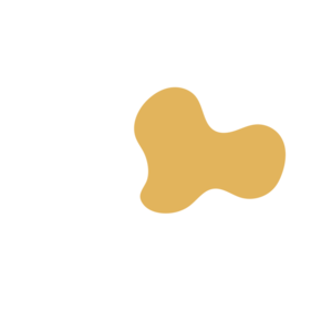 1632af47-placeholder-1770055295