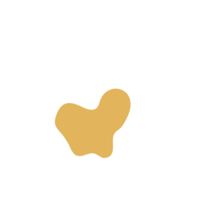 Eebcff48-placeholder-1770021278