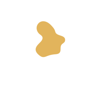 B7706037-placeholder-1770054985