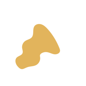 6dc75c1c-placeholder-1770022150