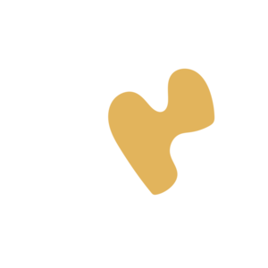 C9535ee5-placeholder-1770021261