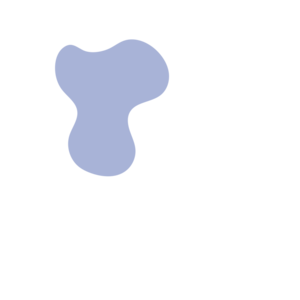 01b9e222-placeholder-1770143958