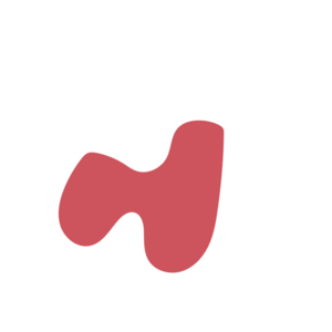 D55165dc-placeholder-1770054731