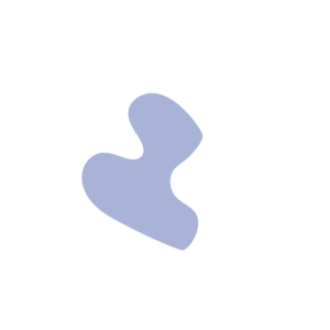 91448170-placeholder-1770019276