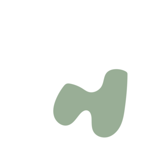 Fec811f6-placeholder-1770023412