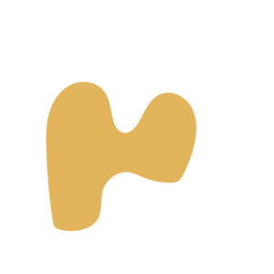 1392ad6c-placeholder-1770005895