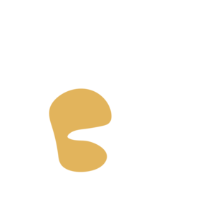 86cbb7db-placeholder-1770013887