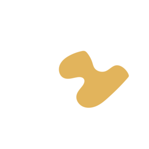 2f030821-placeholder-1770006396