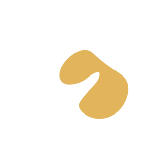 363b2772-placeholder-1770011103