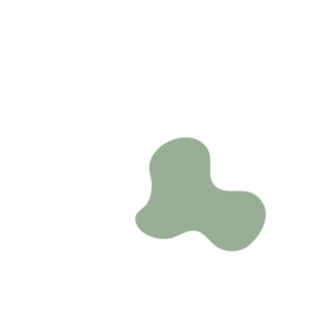 2043e743-placeholder-1770022450