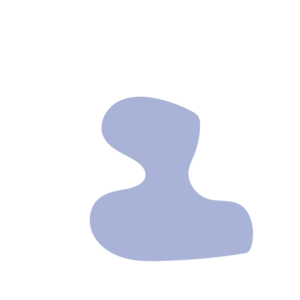 1166db2e-placeholder-1770004970