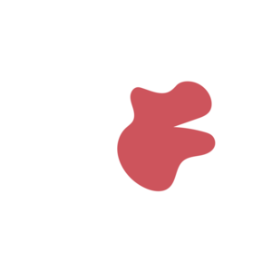 66a3d56a-placeholder-1769017693