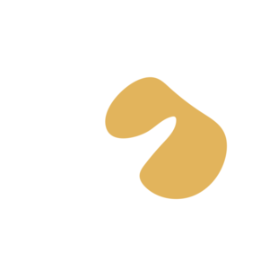 Baf73854-placeholder-1770017347