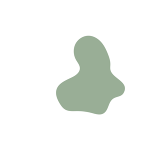 077327cf-placeholder-1770061870